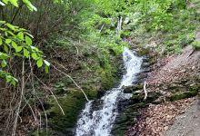Cascada Bufna景点图片