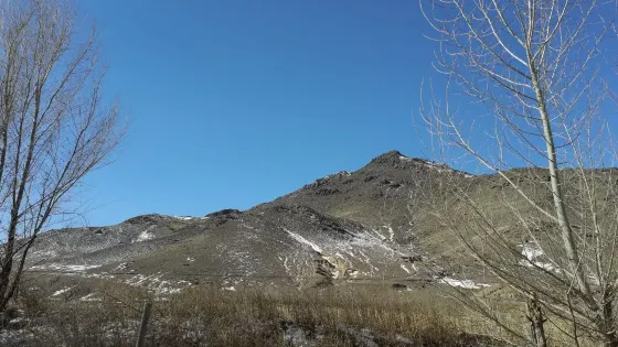 德布僧