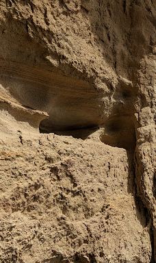 Walichu tip (Cuevas Gualicho)-阿根廷湖县