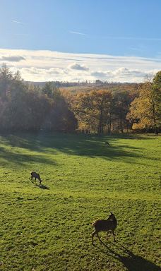 Bilsteintal: Tropfsteinhöhle und Wildpark in Warstein-瓦尔施泰因