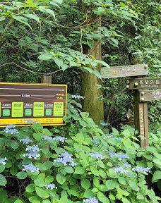 思连伊林道红色登高入口-西归浦市