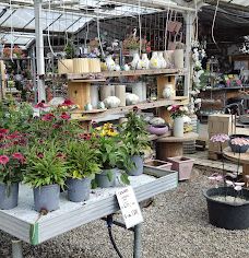 Flora Frankfri - Frankfri Flowers-措默鲁普