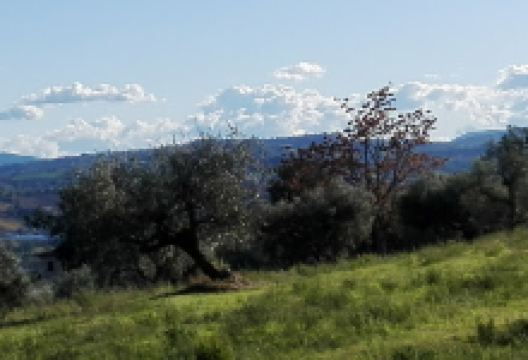 Parco delle Rimembranze景点图片