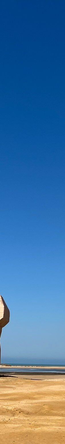 穆罕默德国家公园-Qesm Sharm Ash Sheikh