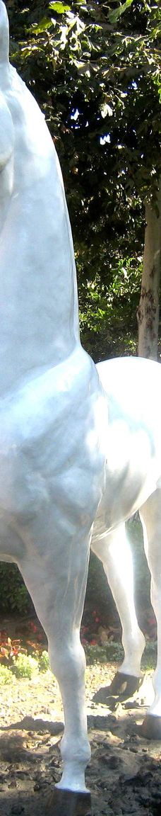 南加州大学-洛杉矶