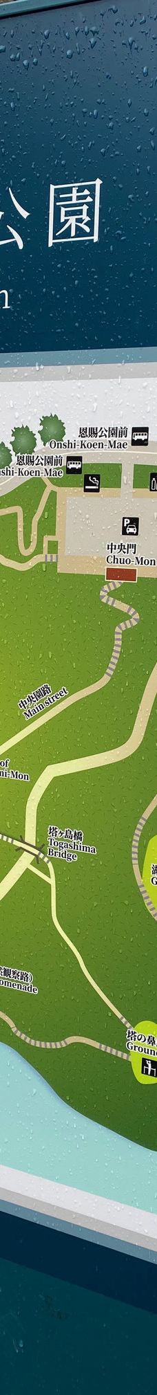 恩赐箱根公园-箱根