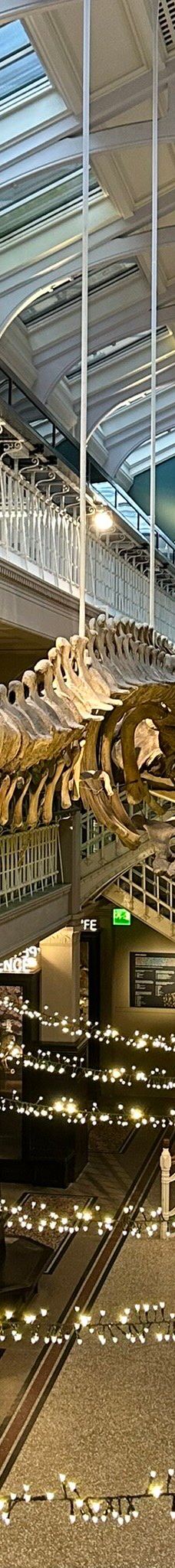 曼彻斯特博物馆-曼彻斯特