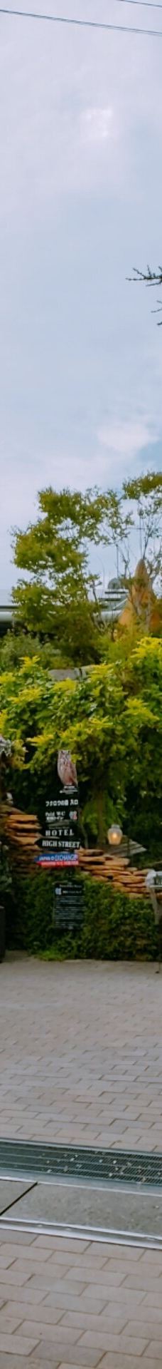 汤之坪街道-由布市