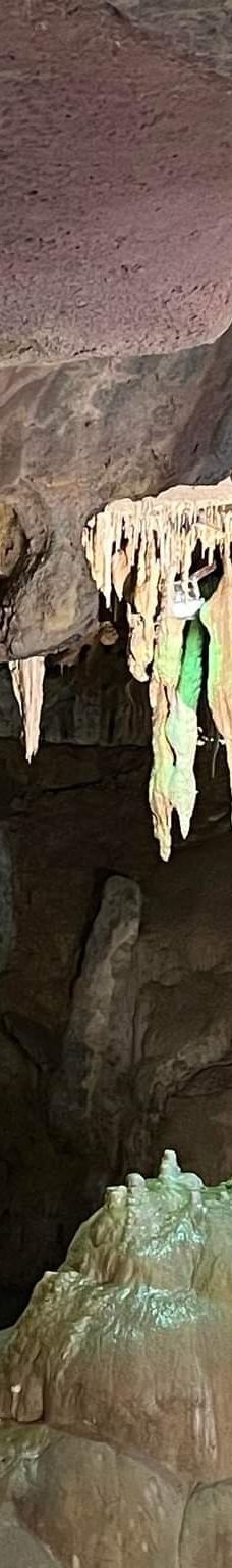 Grottes de Betharram-圣佩德比戈尔