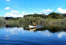 Chimfunshi Wildlife Orphanage景点图片