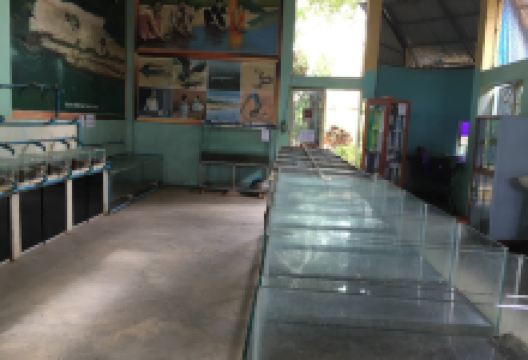 Mekong Turtle Conservation Center景点图片