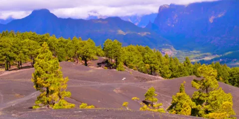 Volcan de San Antonio