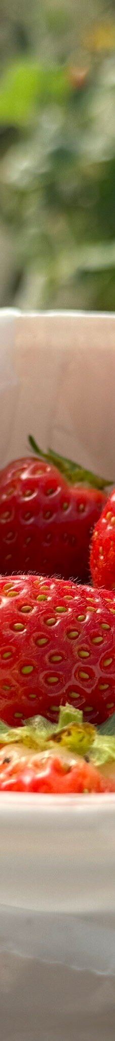 Ricardoes Tomatoes-Blackmans Point
