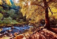 The Hermitage (National Trust for Scotland)景点图片