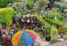 Driftwood Garden East Sussex景点图片