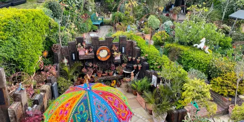 Driftwood Garden East Sussex