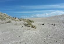 Råbjerg Mile景点图片