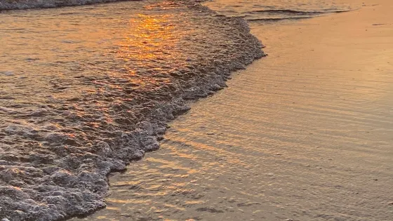 Spiaggia di Santa Maria del Focallo