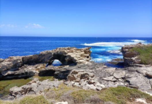 Cathedral Rocks景点图片