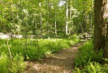 Mass Audubon's North River Wildlife Sanctuary景点图片