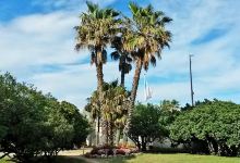 Jardin Botanique des Myrtes景点图片