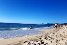 Praia da Arda景点图片