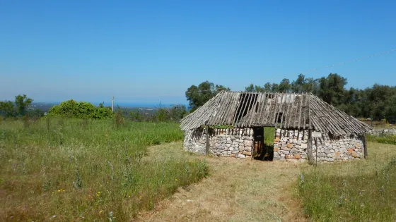 Parco Archeologico e Naturale di Santa Maria di Agnano