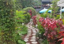 Parque Central De Grecia景点图片