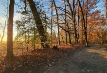 Brecknock County Park景点图片