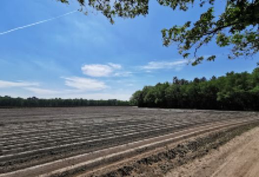 Sprankel Grafheuvels景点图片