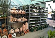 Hardwick Garden Centre购物图片