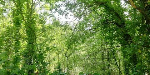 Area archeologica e naturalistica di Pietramarina