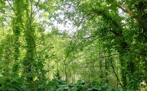 Area archeologica e naturalistica di Pietramarina