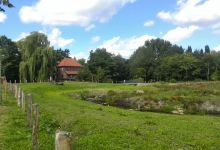 Mühlenmuseum Plagemanns Mühle景点图片