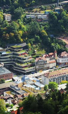 巴特维尔德巴特