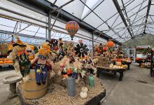 Hart's Greenhouse & Garden Center购物图片