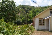 Newport District, St. Mary, Jamaica景点图片