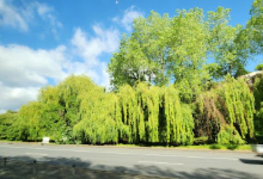 Fitzroy Gardens景点图片