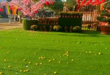 Nhà Văn Hóa景点图片