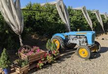 Cascina Pizzo frutteto ed eventi景点图片
