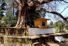 Budumadura Melsiripura Farm景点图片