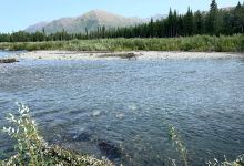 科尤库克河景点图片