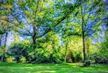 McCutcheon Park景点图片