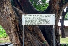 Livingstone tree景点图片