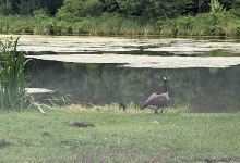 Churchville Park Boat Launch景点图片