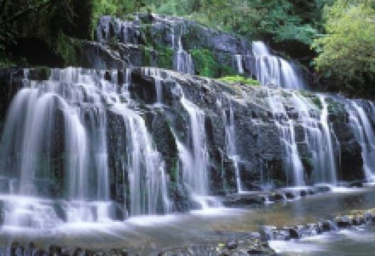 Catlins - Newhaven Holiday Park, Surat Bay景点图片