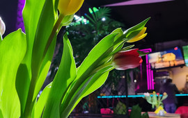 LEMON Nightclub & Cafe - Tukums