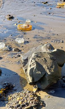 Chinook County Park-太平洋城县
