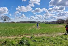 Blean Woods National Nature Reserve景点图片
