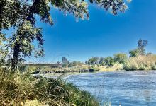 Oroville Wildlife Area景点图片